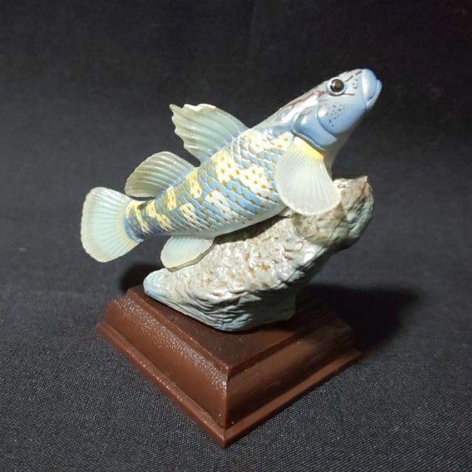 ネイチャーテクニカラー 日本の清流 トウヨシノボリ ネイチャー